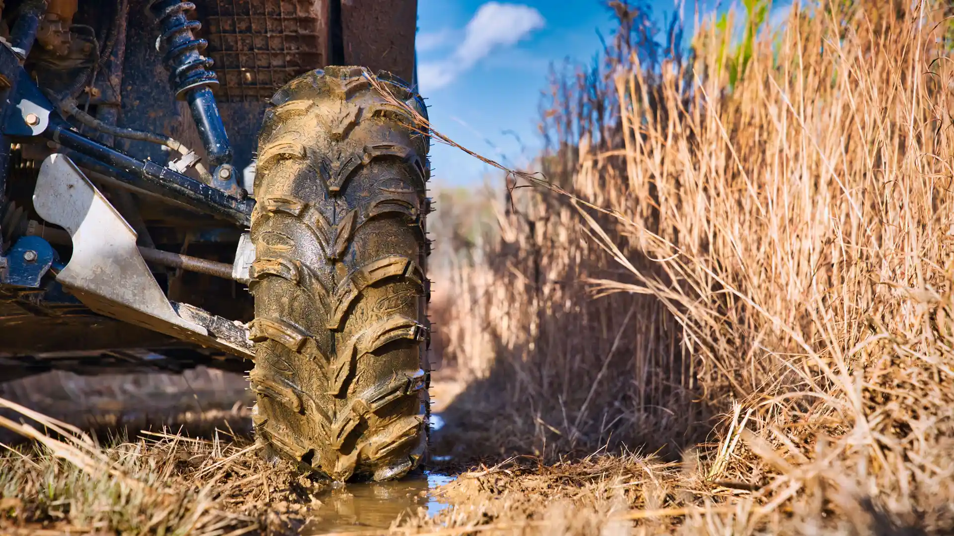 ORO2U background image